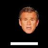 Bush Pong