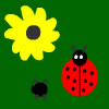 Ladybug - TPC