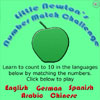 Little Newton's Number Match Challenge