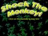 Shock The Monkey